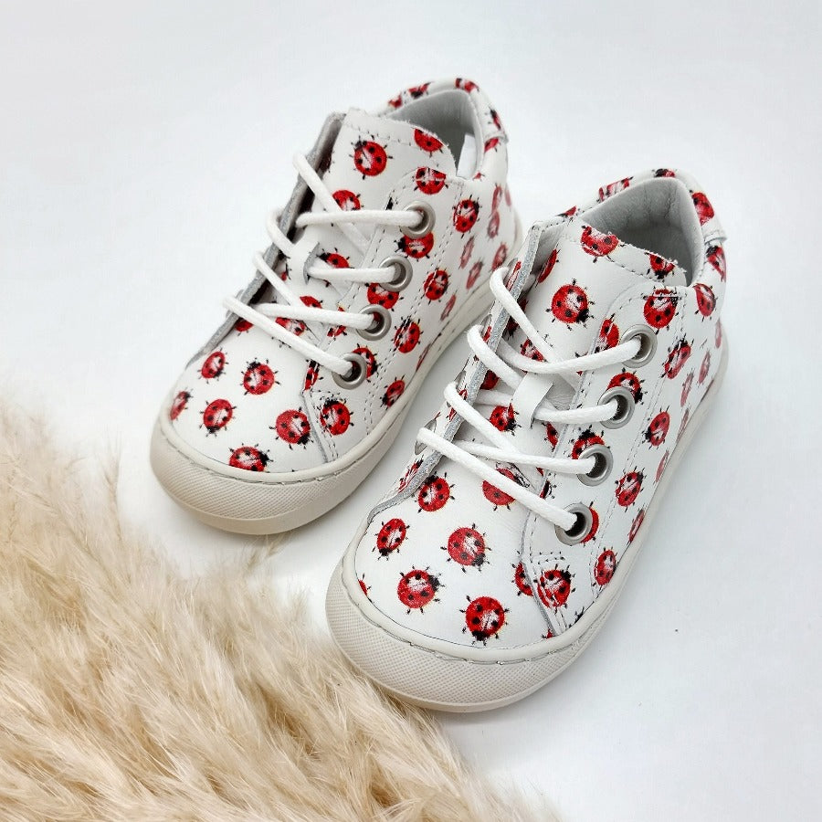 Froddo Ollie ladybird
