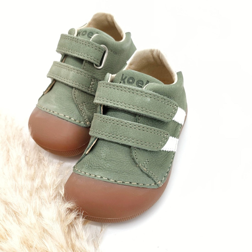 Koel Archie Olive